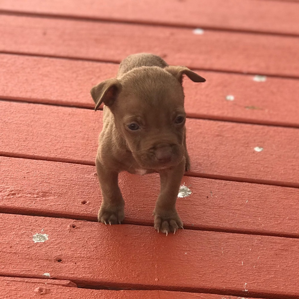 Meet your Posher, Alex